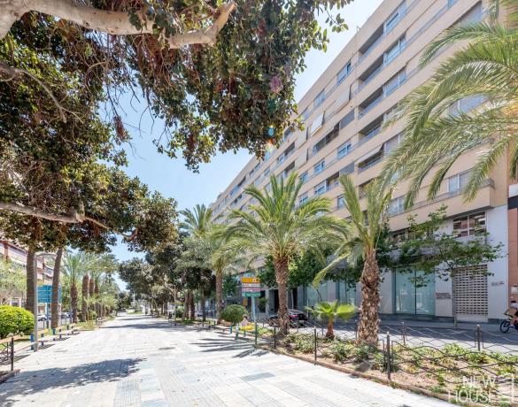 Dúplex en avenida Oscar Espla