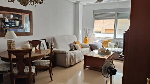 Piso en calle Catedratico Ferre Vidiella