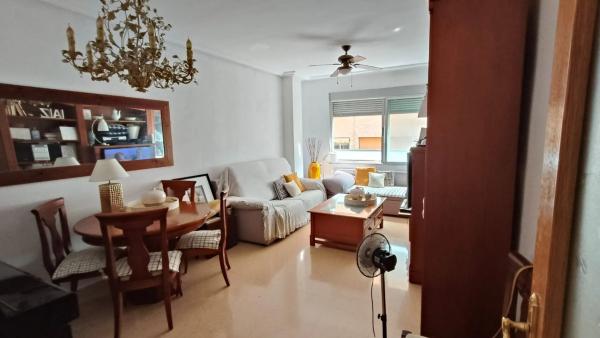 Piso en calle Catedratico Ferre Vidiella