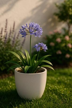 Unifamiliar Pacs del Penedes