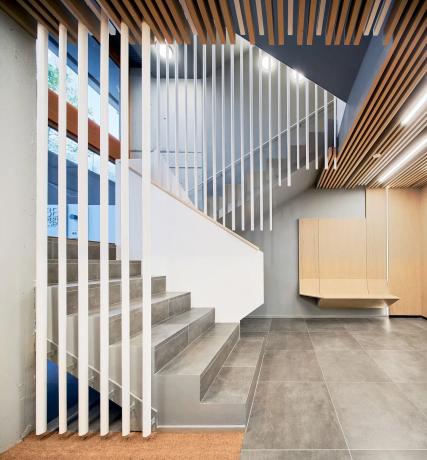 Espai Natura Fase IV