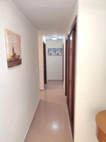 Ático en Cl Palasiet, 13