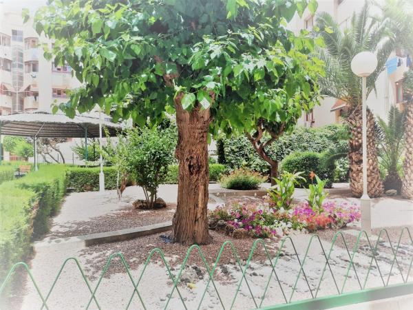 Piso en Centro Urbano