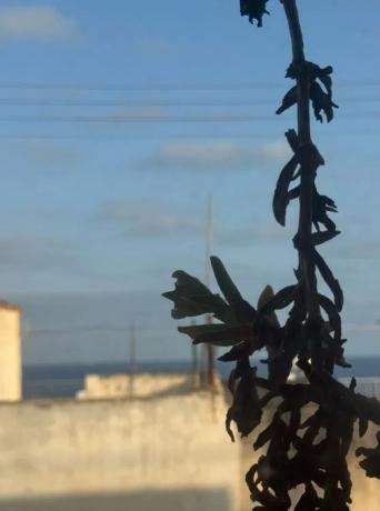 Ático en calle Colón s/n