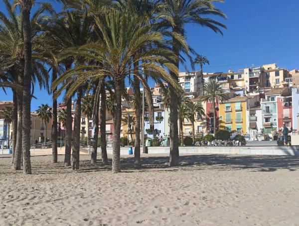 Ático en calle Colón s/n