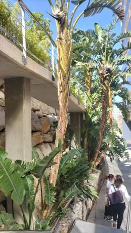 Piso en Barrio Cala Alta - Veramar