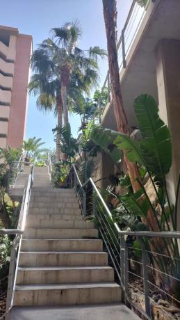 Piso en Barrio Cala Alta - Veramar