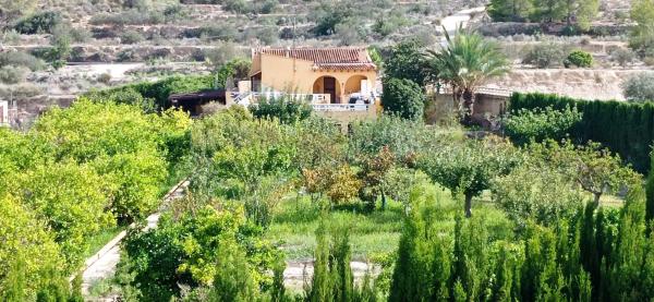 Finca rústica en Partida Alcocons, 86