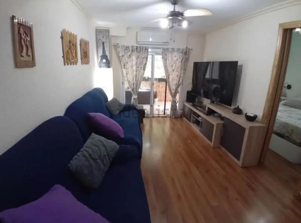 Piso en avenida Vicente Blasco Ibañez, 29