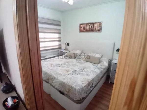 Piso en avenida Vicente Blasco Ibañez, 29