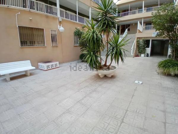 Piso en avenida Vicente Blasco Ibañez, 29