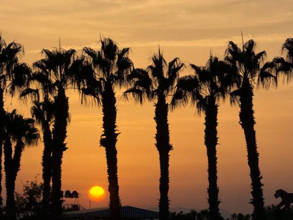 Piso en avenida Zaragoza, 49