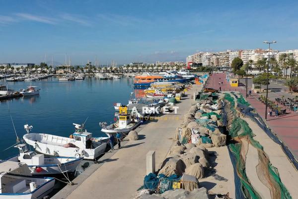 Casa independiente en calle Maestro Alfosea