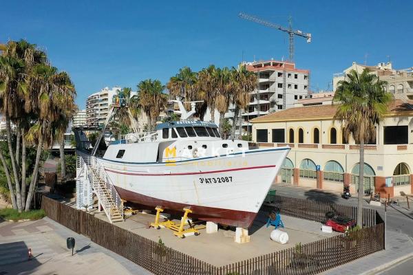 Casa independiente en calle Maestro Alfosea