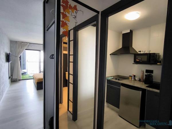 Estudio en Playa de Levante