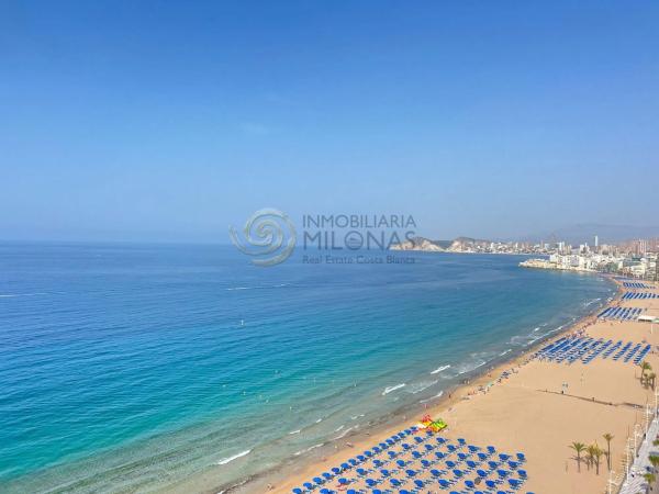 Estudio en Playa de Levante