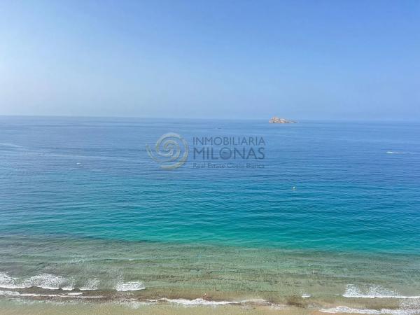 Estudio en Playa de Levante