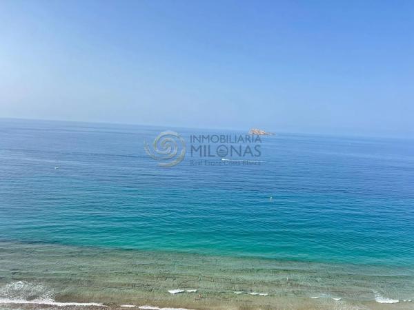 Estudio en Playa de Levante