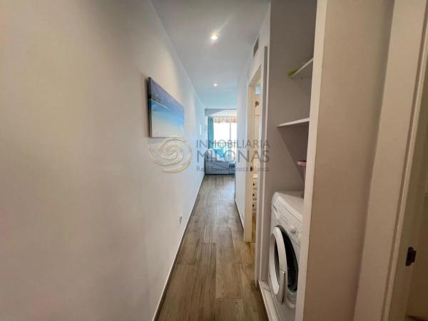 Estudio en Playa de Levante