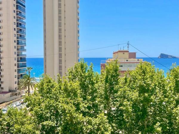 Estudio en Playa de Levante