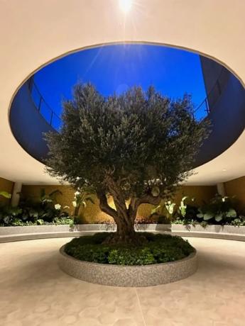 Piso en avenida de Mejico, 7