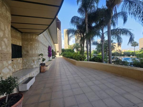 Estudio en avenida Marina Alta