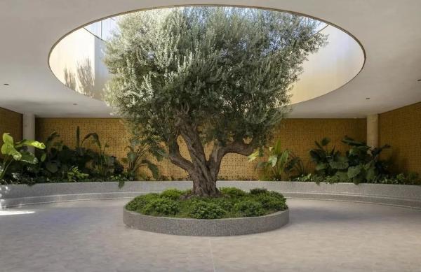 Piso en avenida Vicente Pérez Devesa