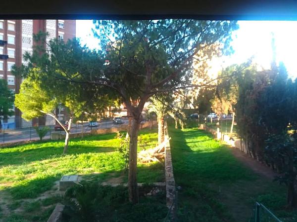 Estudio en Pueblo Levante