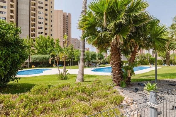 Ático en avenida del Municipi