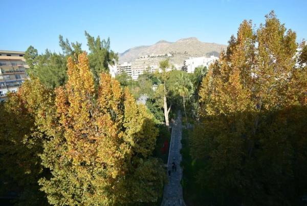 Ático en Orihuela Ciudad