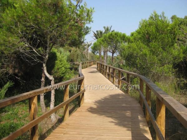 Chalet adosado en calle la Palomina