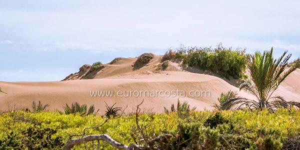 Chalet adosado en calle la Palomina