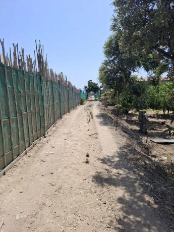 Finca rústica en Partida Moncayo