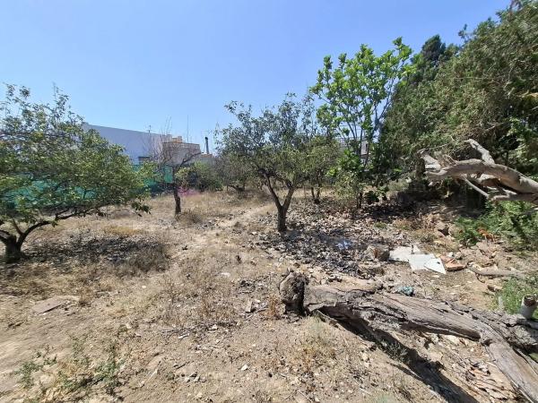 Finca rústica en Partida Moncayo