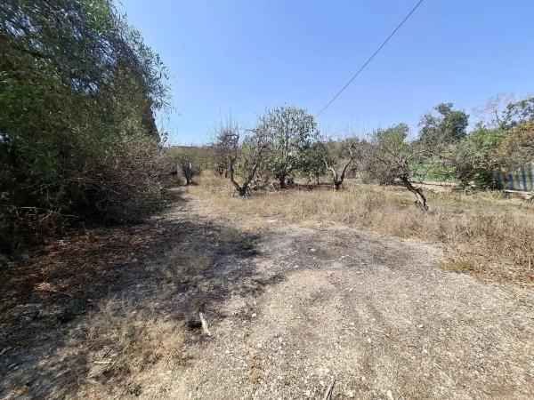 Finca rústica en Partida Moncayo