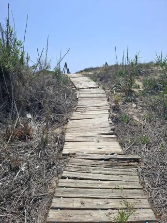Finca rústica en Partida Moncayo