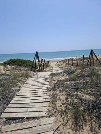 Finca rústica en Partida Moncayo
