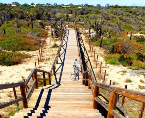 Estudio en calle Giner de los Ríos, 29