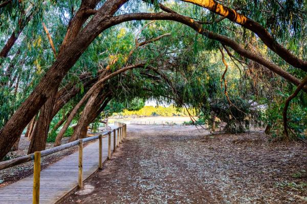 Piso en Guardamar del Segura
