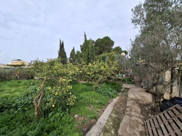 Finca rústica en Partida Saavedra