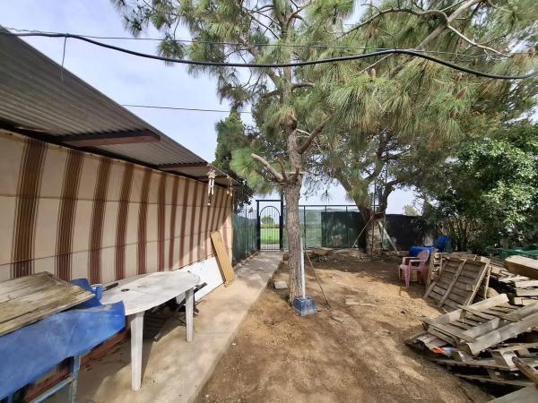 Finca rústica en Partida Saavedra