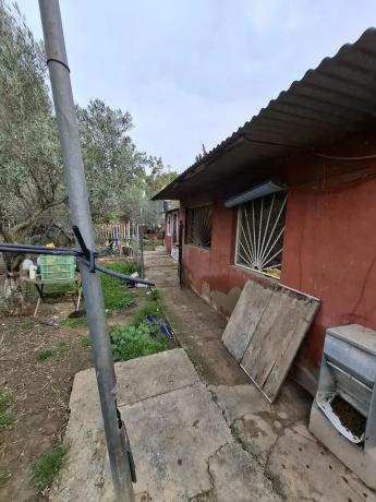 Finca rústica en Partida Saavedra