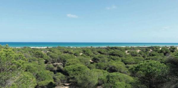 Piso en calle Xile, 17