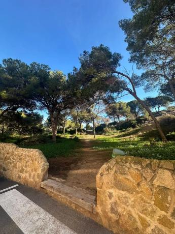 Piso en calle Rodrigo de Triana