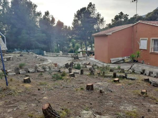 Casa independiente en calle Lotería