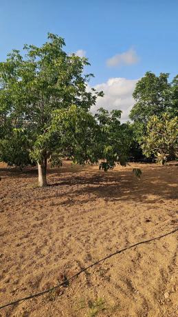 Finca rústica en plaza iglesia, 2
