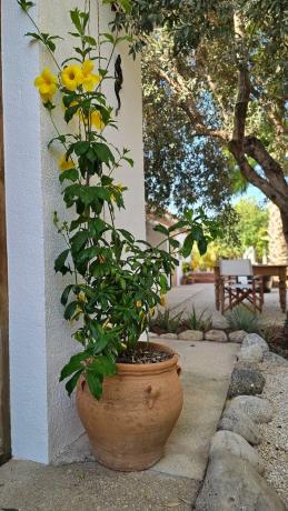Finca rústica en plaza iglesia, 2