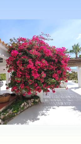 Finca rústica en plaza iglesia, 2