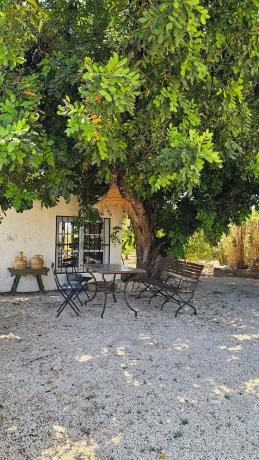 Finca rústica en plaza iglesia, 2