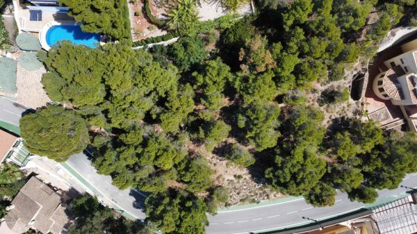 Casa independiente en calle Italia, 43